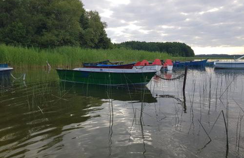 Siedlisko Jelonki - Foto 40
