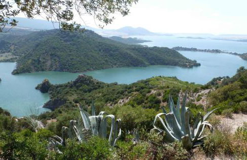 Sunny Home pool & Garden in Arcos de la Frontera - Foto 23