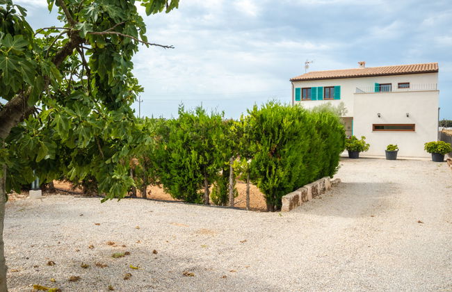 Son Vivot - Photo 23