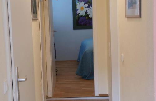 ferienhaus-raju-zeltingen - Foto 45