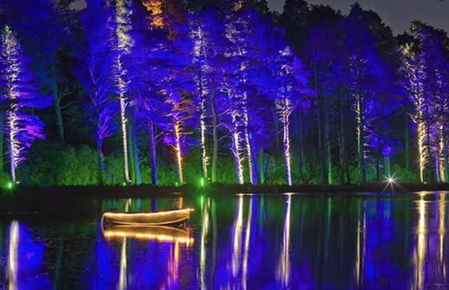 The Orchard House - Foto 16