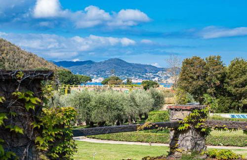 Sant'Anna del Volterraio - Margherite 3 - Foto 33