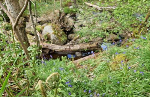 Highland River Cottage with Hot Tub - Foto 54