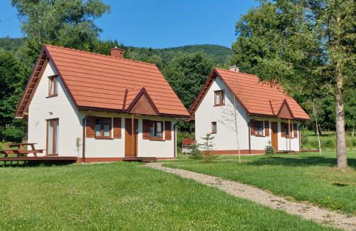 Domek Bieszczadzkie Brzegi - Foto 2