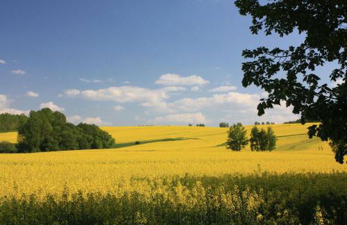 Fewo Am Geyersberg - Foto 22