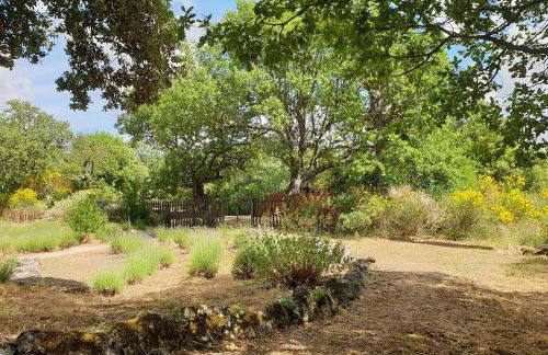 Maison de caractère dans Luberon avec piscine - Foto 59