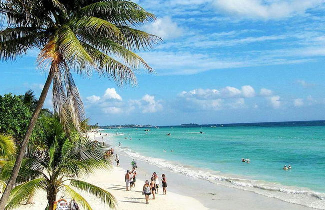 Beautiful 2-bed Apartment in Sunny Jamaica - Photo 13