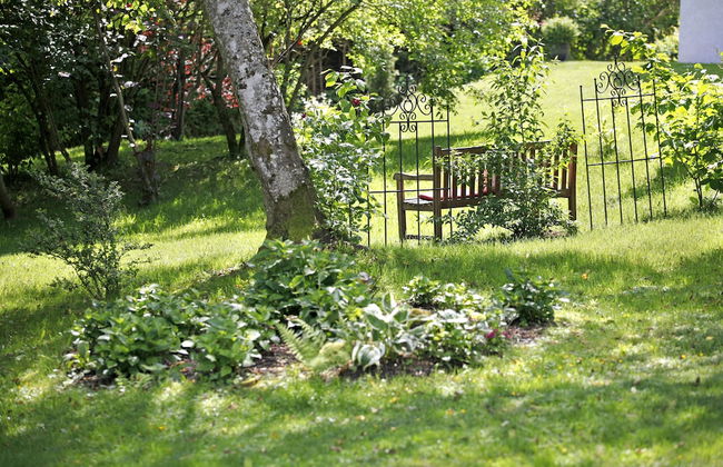 Chalet am Birkenhain - Foto 48