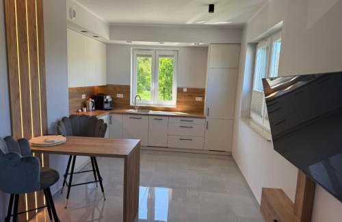 Apartamenty nad Baryczą - Foto 36