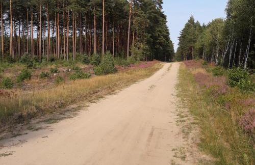 Ośrodek Wypoczynkowy Jaszczurka - Foto 48