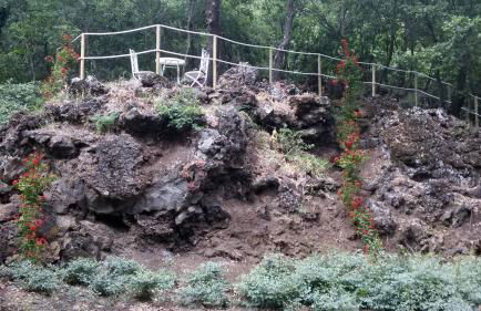 Boscoscuro - Foto 34