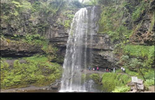 The Forager's Rest - Foto 74