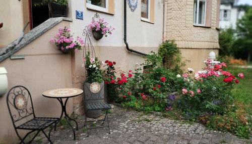 Ferienwohnung in der Kunst und Kultur Villa Bad Steben - Foto 3, Garden