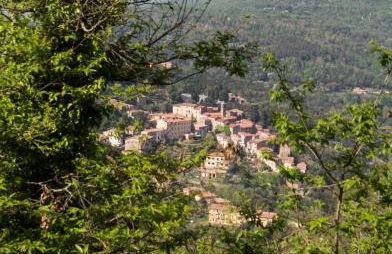 Le Dame del Borgo - Foto 12