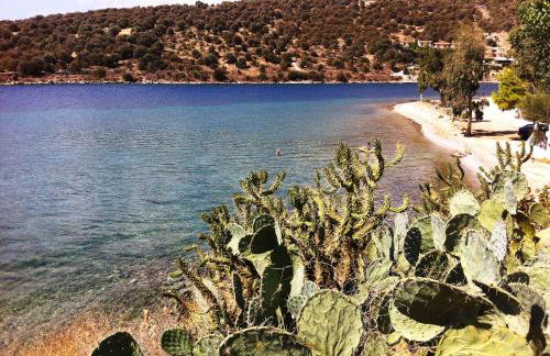 Sea Front Studio - Porto Buffalo - Evia - Foto 27