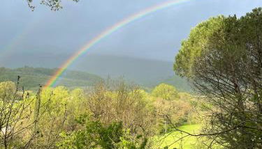 Casale Scola Cetona - Foto 5, Garden view