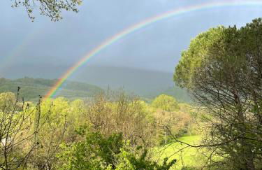 Casale Scola Cetona - Foto 5