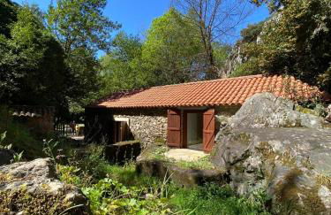 Moinho das fragas - Foto 19