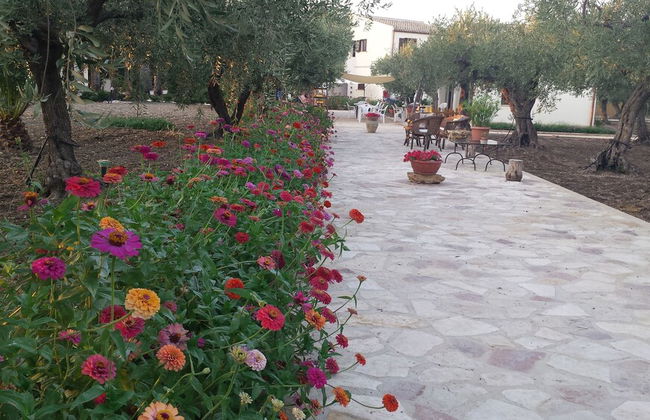 Agrisicilia - Foto 30