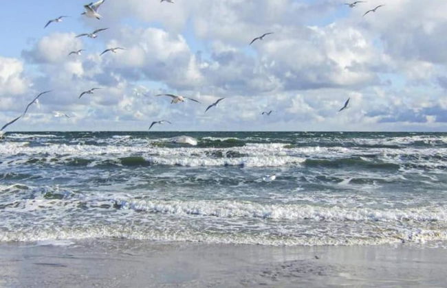 Moderne Ferienwohnung in Kluetz in Strandnahe - Foto 79