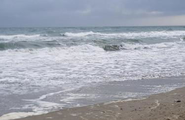 La Galiote, T2 vue port, terrasse et parking - Foto 36