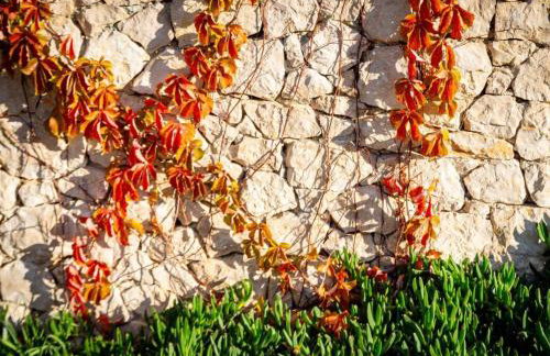 Design&Art Seafront Villa - Foto 74