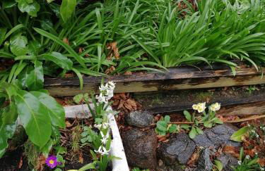 The Beeches - Foto 58