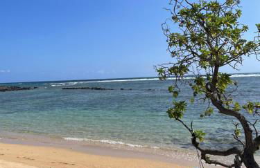 Ka Hale Kealoha - Foto 30