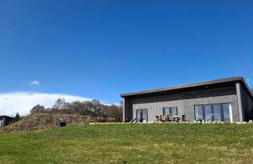 Red Squirrel - Photo 11