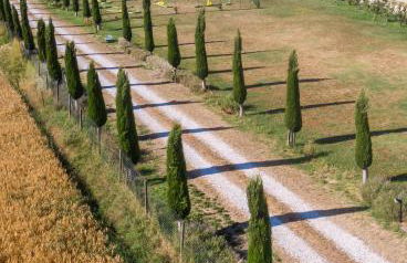 il Chiassetto Agriturismo No Kids - Foto 34