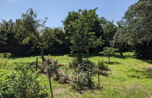 Salzhaff 4 You - Foto 11