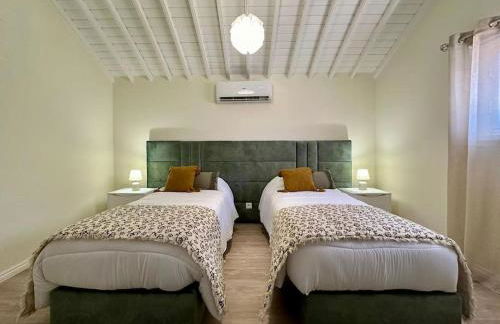 Palm House Azores - Photo 11