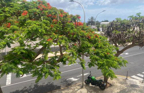 Santa Cruz de Tenerife Toscal - Foto 9