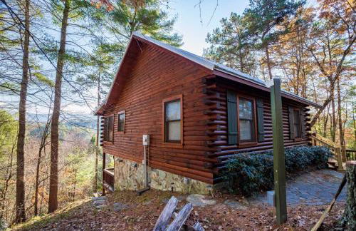 Hog Heaven - Cherry Log GA - Pet Friendly Cabin - Foto 5