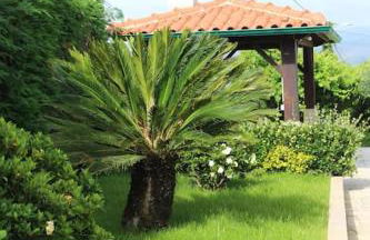 Casa das Leiras - Mondim de Basto - Foto 12