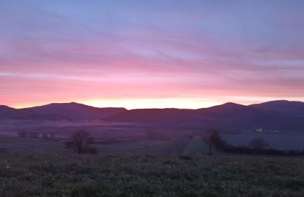 Agriturismo l'Oasi - Foto 15