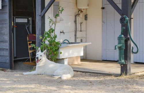 Charmante maison vendéenne proche de la plage - Photo 64