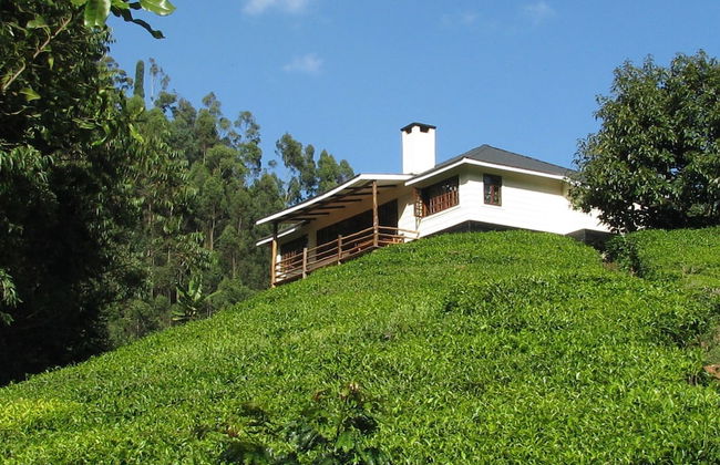 Kimakia Tea Cottages - Foto 11