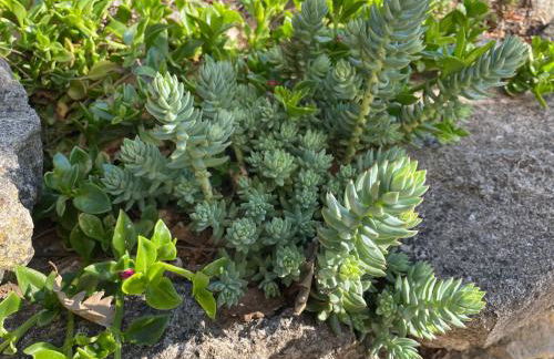 Ô Coeur Des Ocres - Foto 30