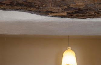 Cortijo Privilegio - Foto 18