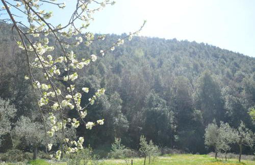 Casa Franceschini - Foto 9