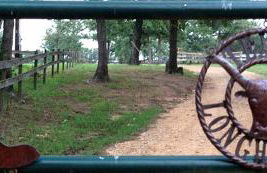 Simple and Cozy Cabin Rental on Private Ranch Retreat near Austin, Texas - Foto 6