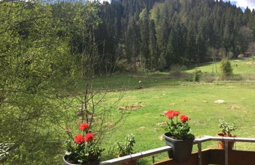 Holiday Apartment Finkennest - Foto 43