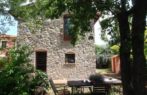 Rose Cottage Tuscany - Foto 49