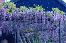 Private Eco Retreat for two Spa - Hot Tub - Design and Lake View - Foto 49