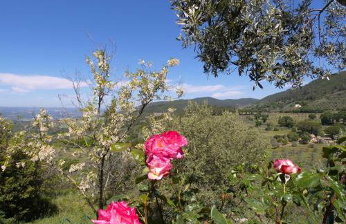 SCAPPO IN UMBRIA, la casa di Giuliana - Foto 12