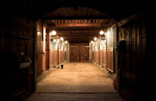 Gajówka Pilica 45A - Foto 48