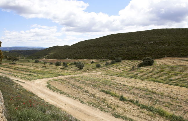 Masia Heredad La Boquilla - Foto 22