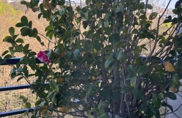 3 bedrooms with Tour Eiffel view - Foto 24