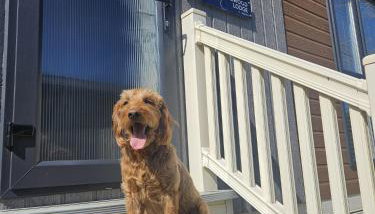 JJs Lodge Ebor - Foto 5, pet friendly